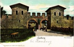 CPA AK Saalburg Porta Decumana GERMANY (931438) - Saalburg