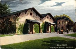 CPA AK Saalburg Horreum GERMANY (931446) - Saalburg