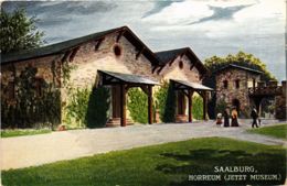 CPA AK Saalburg Horreum GERMANY (931530) - Saalburg