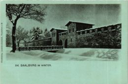 CPA AK Saalburg Im Winter GERMANY (931621) - Saalburg