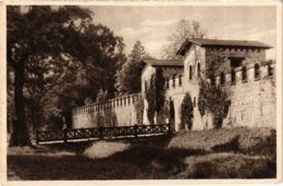 CPA AK Saalburg Sudseite Des Kastell Mit Porta Decumana GERMANY (931708) - Saalburg