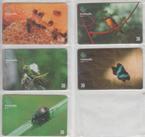 BRASIL 2000 BEE GREAT KISKADEE GRASSHOPPER BUTTERFLY BEETLE - Otros & Sin Clasificación