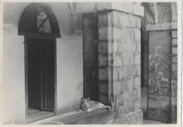 SECLIN   Photo Originale Du Cloître  Studio Camille Annoeullin  Vers 1940 - Seclin