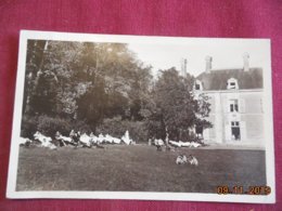 CPSM - Carquefou - Hôpital De La Seilleraye - La Cure D'air Et De Soleil - Carquefou