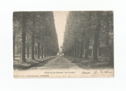 Dreef Op Het Kasteel "ter Linden" - Edegem (1905). - Edegem