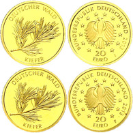 2 X 20 Euro, Gold, 2013, Kiefer, F Und J, Mit Zertifikaten, St., Katalog: J.581 St - Andere & Zonder Classificatie