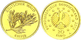 20 Euro, Gold, 2013, Deutscher Wald-Kiefer, Mzz G, J. 581, In Kapsel, St., Katalog: J.581 St - Andere & Zonder Classificatie