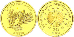 20 Euro, Gold, 2013, Deutscher Wald-Kiefer, Mzz J, J. 581, In Kapsel, St., Katalog: J.581 St - Other & Unclassified