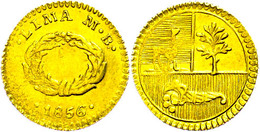 1/2 Escudo, Gold, 1856, Lima, MB, KM 146.1, Leichte Prägeschwäche, Vz.  Vz - Perú