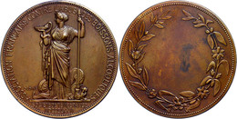 Frankreich, Bronzemedaille (Dm. 51 Mm, 65 G), 1872, Von Oudine, Gegen Alkoholmissbrauch, Av: Salus Stehend Füttert Schla - Other & Unclassified