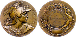 Frankreich, Bronzemedaille (Dm. 50,3 Mm, 70 G), 1880, Von Louis Bottee, Auszeichnungsmedaille, Av: Brustbild Personifizi - Altri & Non Classificati