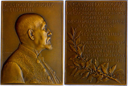 Frankreich, Bronzeplakette (53x71 Mm, 128 G), 1911, Von Vernon, Auf Gaston Darboux Professor Für Geometrie An Der Sorbon - Autres & Non Classés