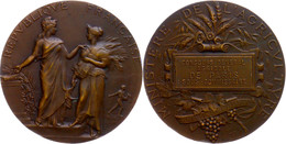 Frankreich, Bronzemedaille (Dm. 50 Mm, 64 G), O.J., Von A. Dubois, Prämienmedaille Des Landwirtschafts-Ministeriums, Av: - Otros & Sin Clasificación