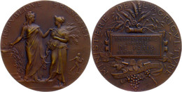 Frankreich, Bronzemedaille (Dm. 50 Mm, 64 G), O.J., Von A. Dubois, Prämienmedaille Des Landwirtschafts-Ministeriums, Av: - Andere & Zonder Classificatie