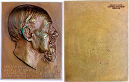 Schweiz, Rechteckige, Einseitig Geprägte Bronzeplakette (ca. 67,10 X 53,90mm, Ca. 167,26g), 1918, Auf Sigismond Laskowsk - Other & Unclassified