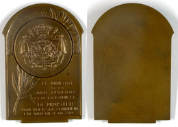 Belgien, Bronzeplakette (100x64 Mm, 172 G), O.J., Unsigniert, Plakette Des Familienministers, Av: Wappen Und Schrift, Vz - Sonstige & Ohne Zuordnung