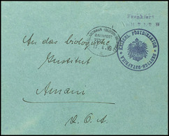 Postdirektor, Frankiert Mit 7 1/2 H, In Violett, Stempel Mittellandbahn, Zug ( Ohne Nummer ), 17.4.16 A, Nach Amani, Ord - German East Africa