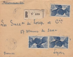 LETTRE. 3 DEC 49. GUINEE. RECOMMANDE BISSIKRINA. RARE LOCALITE. POUR LA FRANCE - Lettres & Documents