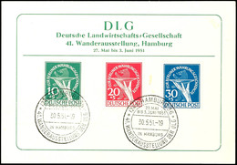 10 - 30 Pfg Währungsgeschädigte, Dabei Die 10 Pfg Mit Plattenfehler II "grüner Punkt Rechts Am Handgelenk", 3 Werte Komp - Sonstige & Ohne Zuordnung