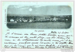 DELLE ..-- 90 . TERRITOIRE DE BELFORT ..-- Vue Générale . 1901 Vers CHARLEVILLE ( Melle Emilie COCHARD ) .. - Delle