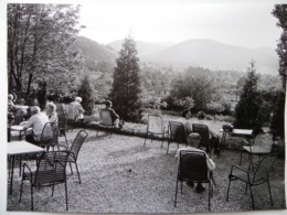 Tabarz Blick Zum Inselsberg / Photographic Print 1973 Year / Thuringer Wald - Apolda