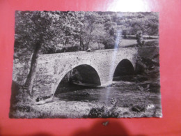 D 48 - Chanac - Le Pont Vieux Au Printemps - Chanac