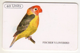 TANZANIE Ref MV Cards : TAN-TT-15 FISHER'S LOVEBIRD 40 UNITS - Tanzanie