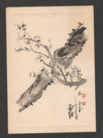 Vietnam - Aquarelle à L'encre De Chine Sur Carton -  Oiseau Stylisé - Perroquet Sur Branche De Cerisier En Fleur - Asian Art