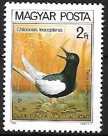 HUNGARY - MNH - 1980 : White-winged Tern  -  Chlidonias Leucopterus - Seagulls