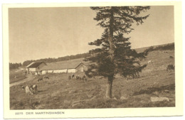 Delcampe - 68 Cpa Ferme De Martinswasen Pres Hohneck Vallée Munster Vaches Elevage - Munster