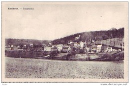 FLORIFFOUX-NAMUR = Panorama - Vue Sur Le Village (ss Edit.) Vierge - Floreffe