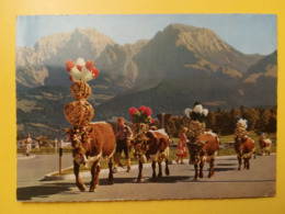 CARTOLINA POSTCARD GERMANIA DEUTSCHE 1966 ALMABTRIEB SCHONAU BOLLO BUILDINGS COSTRUZIONI OBLITERE' POSTKARTEN - Amberg