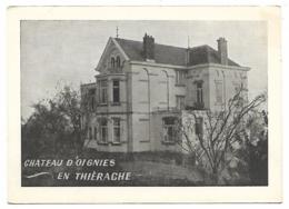 CP CHATEAU D'OIGNIES EN THIERACHE, VIROINVAL, PROVINCE DE NAMUR, BELGIQUE - Viroinval