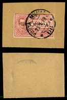 OCCUPAZIONI I GUERRA MONDIALE - VENEZIA GIULIA - 1919 - 25 Cent (1a - Espressi) Con Soprastampa Capovolta - Usato Su Fra - Sonstige & Ohne Zuordnung