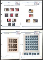 LOTTI & COLLEZIONI - TRIESTE AMG-VG - 1945/1947 - Collezione Studio Montata Su 15 Fogli Speciali (con Linguelle O Taschi - Autres & Non Classés