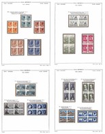 LOTTI & COLLEZIONI - REPUBBLICA - 1954/1965 - Collezione Avanzata In Quartine Del Periodo Montata Su Fogli Euralbo - Gom - Autres & Non Classés