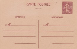 Carte Semeuse Lignée 1.20 F  Brun E2 Neuve - Cartes Postales Types Et TSC (avant 1995)