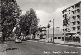 Torino - Mirafiori - Viale Stupinigi - Fg - Parken & Tuinen