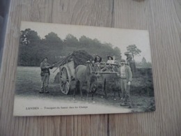 CPA 40 Landes Transport Du Fumier Dans Les Champs Beau Plan Attelage - Other & Unclassified