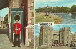 Regno Unito, United Kingdom, (Berkshire) Windsor, Views: The Castle, A Sentry At Henry VIII Gateway, Henry VIII Gateway - Windsor