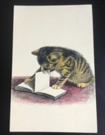 Jolie CPA ILLUSTRATEUR CHAT CHATON CAT LECTURE LIVRE Carnet Papier - 1900-1949