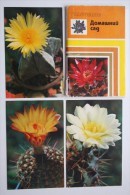 FLEURS / CACTUS . OLD  USSR PC Set  - 13 Postcards - 1974  Rare! - Cactus