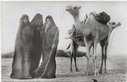 MAURITANIE. FEMMES MAURES CORVEE DE BOIS - Mauretanien