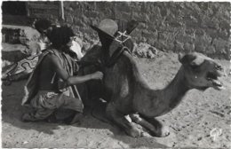 MAURITANIE. MAURE - Mauritanie