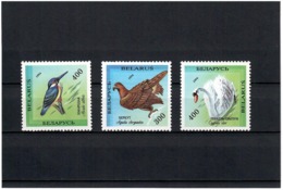 Belarus 1994 .Birds II. 3v: 300, 400, 400.   Michel # 69-71 - Wit-Rusland