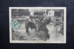 CHINE - Affranchissement Plaisant De Shangaï Au Type Blanc Sur Carte Postale En 1912 Pour Le Cambodge - L 46468 - Briefe U. Dokumente