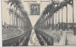 Brésil - Rio De Janeiro - Avenida Do Mangue - Matasellos 1909 - Rio De Janeiro