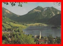 CPSM/gf SCHLIERSEE (Allemagne)  Mit Brecherspitze...K119 - Schliersee