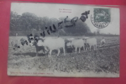 Cp En Morvan Le Labourage Attelage De Boeufs - Landwirtschaftl. Anbau