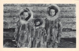 Amérique. Etats Unis  Alaska : .      Cercle Arctique 3 Petits Enfants   2       (voir Scan) - Otros & Sin Clasificación